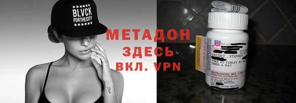 прущие грибы Горно-Алтайск