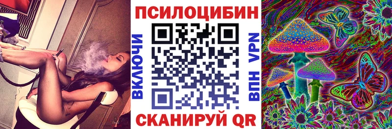 Галлюциногенные грибы мицелий  купить  цена  Гурьевск 