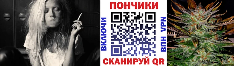закладка  Гурьевск  мега tor  Конопля Amnesia 